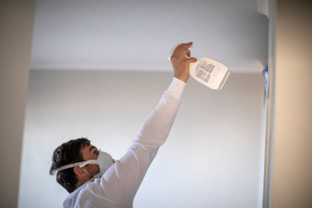 Best Mold Testing and Removal  in Lemoyne, PA