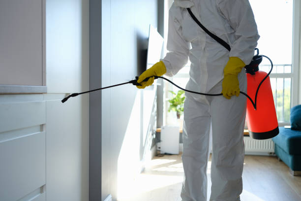 Best Certified Mold Removal  in Lemoyne, PA