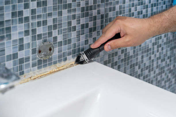 Best Home Mold Removal  in Lemoyne, PA