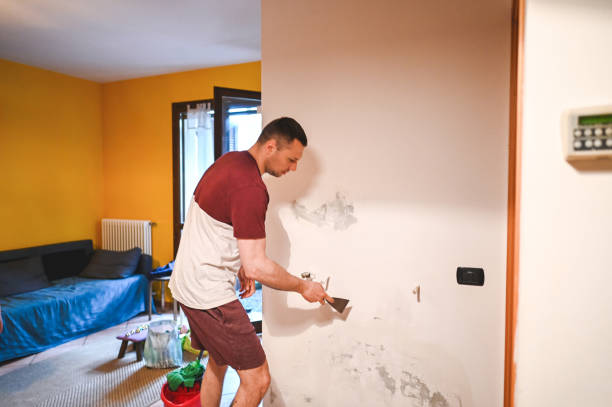Best Mold Damage Repair  in Lemoyne, PA